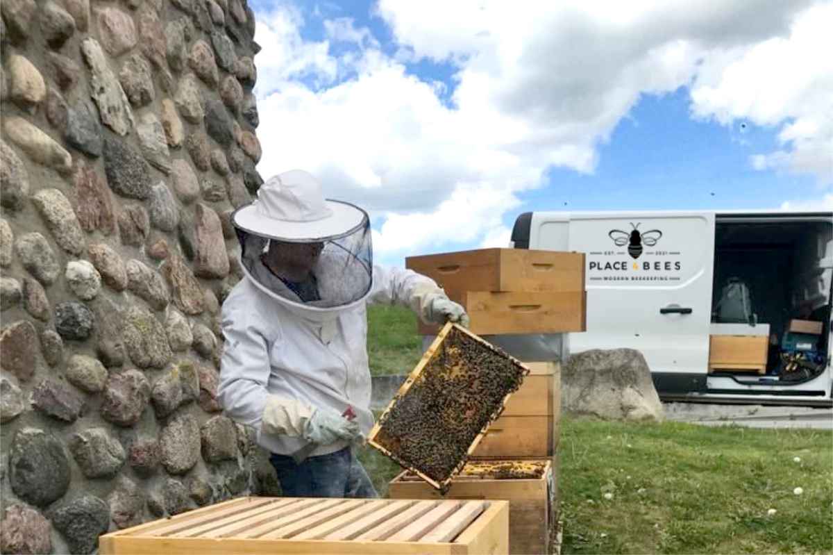 Bienenprojekt